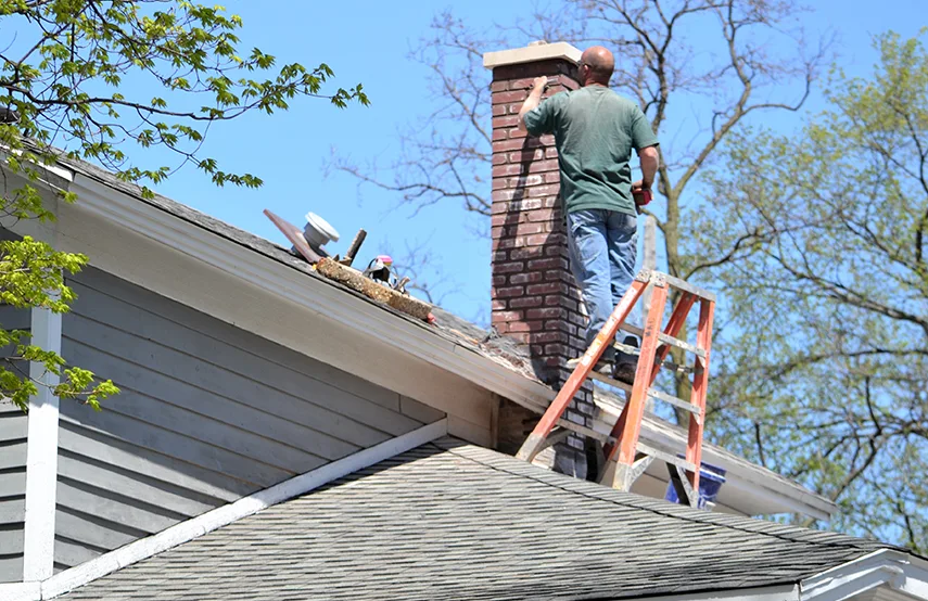 Chimney & Fireplace Inspections Services in San Rafael, CA